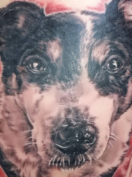 0001aaa   Tiere   Tattoo Hamburg Skinworxx